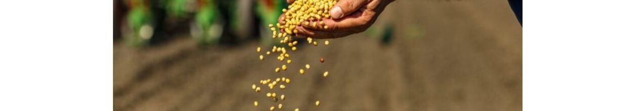 Şirket Kapak Görseli