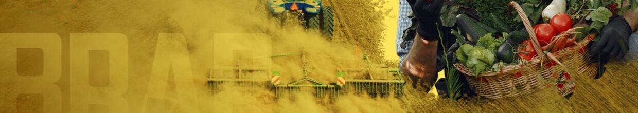 Şirket Kapak Görseli