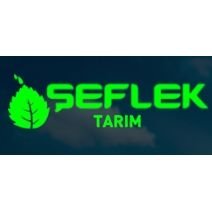 Şirket Logosu