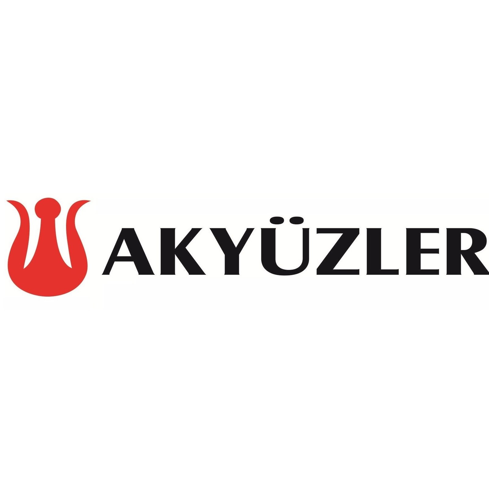 Şirket Logosu