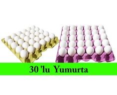 Tavuk Yumurtası