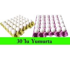 Tavuk Yumurtası