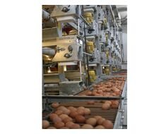 Yumurta Toplama Sistemi